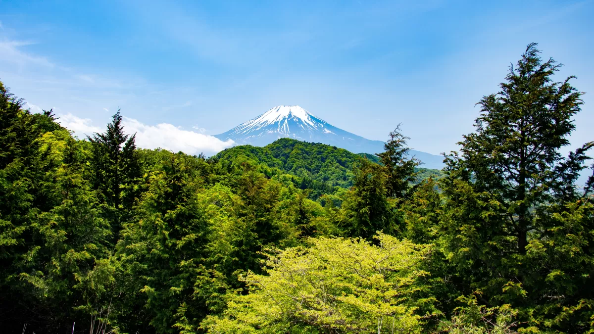 山梨県はアウトドアサウナも魅力